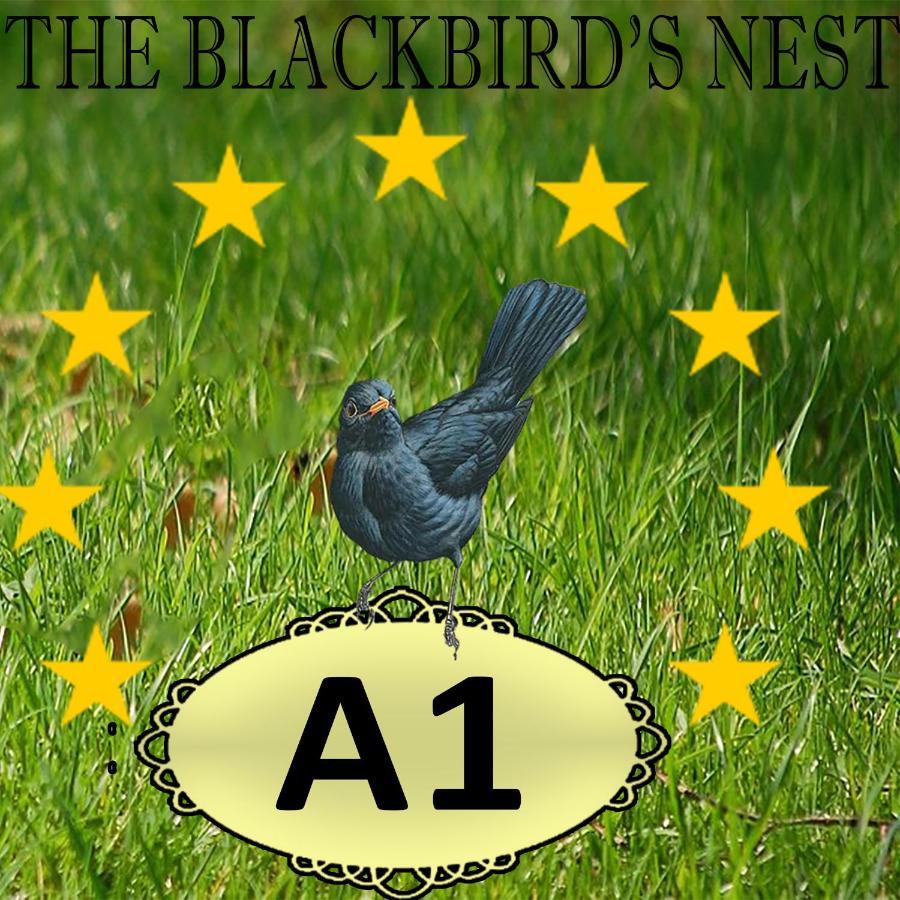 The Blackbird'S Nest Chania  Exteriér fotografie